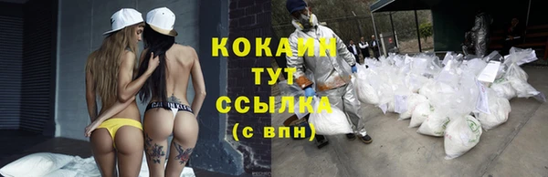 твердый Касимов