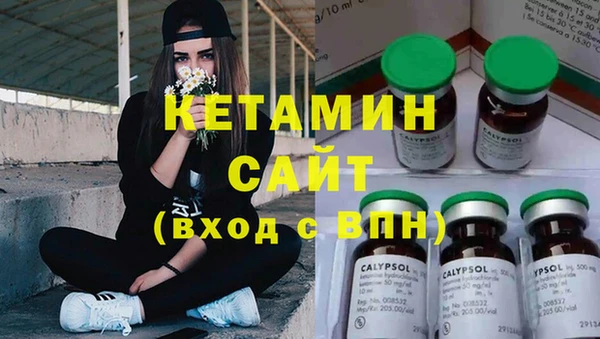 крисы Алексин