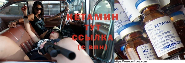 крисы Алексин