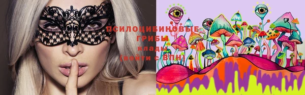 стаф Алексеевка